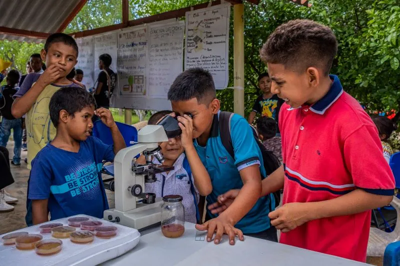 Grupo de cinco niños junto a un microscopio y uno de ellos mira a través del lente